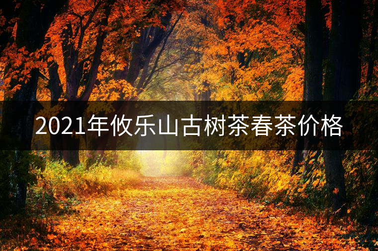 2021年攸樂山古樹茶春茶價(jià)格