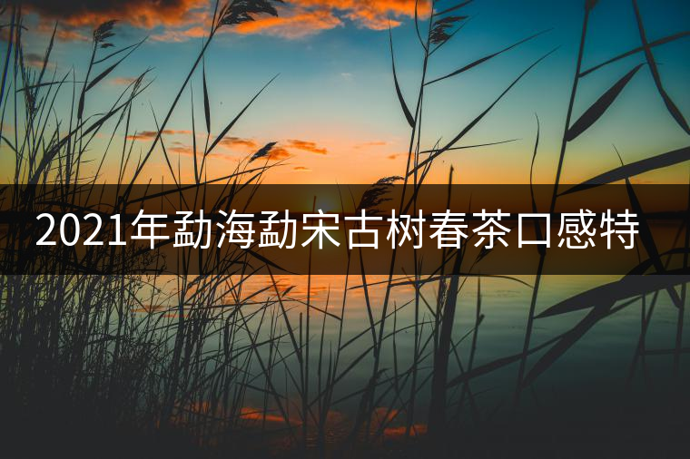 2021年勐海勐宋古樹(shù)春茶口感特點(diǎn) 2021年勐海勐宋古樹(shù)春茶口感特點(diǎn)