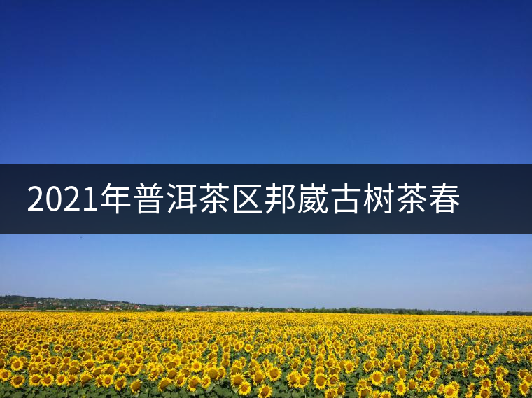 2021年普洱茶區(qū)邦崴古樹茶春茶口感特點介紹 2021年普洱茶區(qū)邦崴古樹茶春茶口感特點介紹
