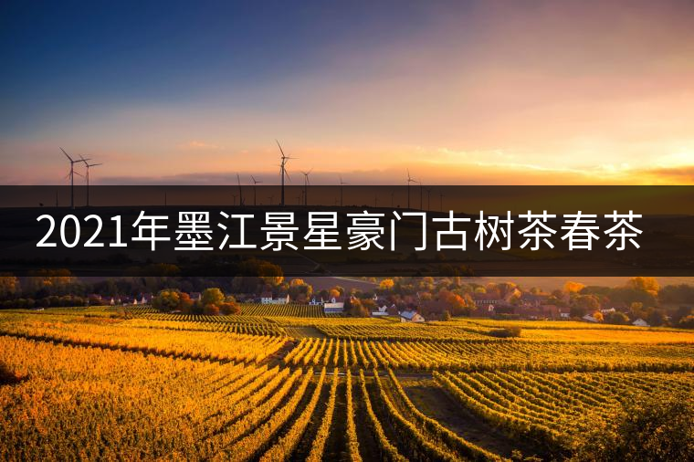 2021年墨江景星豪門古樹茶春茶價格多少錢一斤？