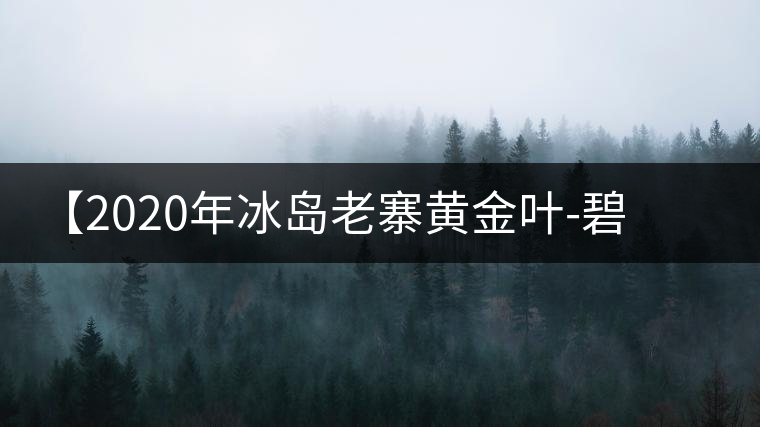 【2020年冰島老寨黃金葉-碧波蕩漾一抹香，輕啜半盞甘若露。