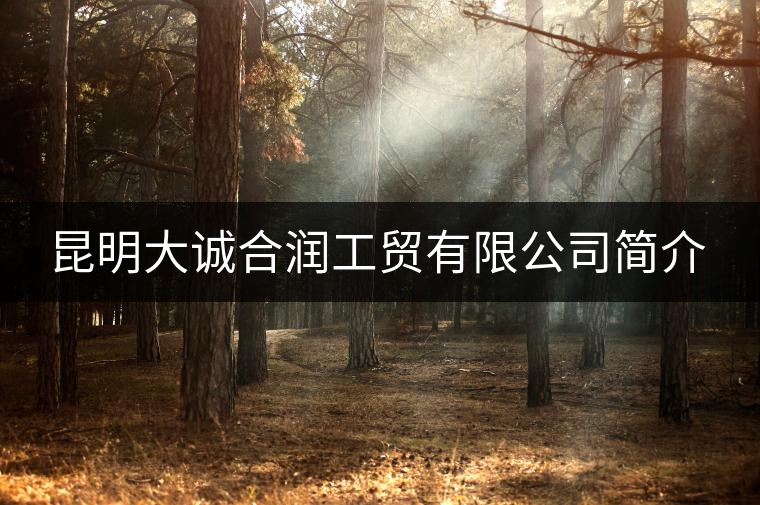昆明大誠合潤工貿(mào)有限公司簡介 昆明大誠合潤工貿(mào)有限公司簡介