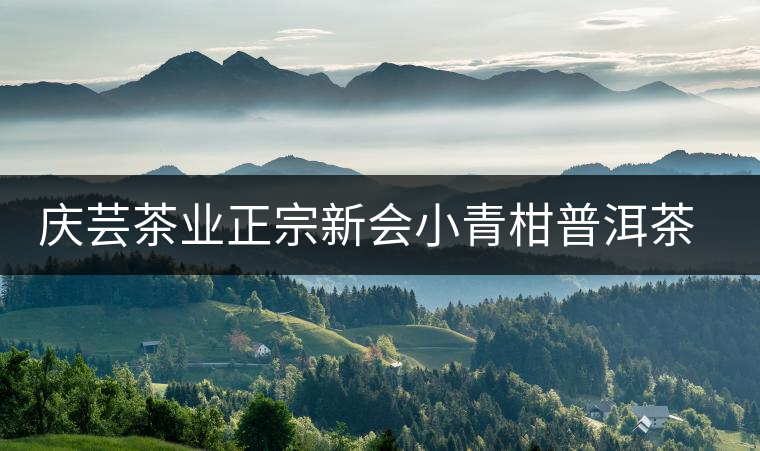 慶蕓茶業(yè)正宗新會小青柑普洱茶8年陳宮廷熟茶柑普橘普陳皮茶葉怎么樣? 慶蕓茶業(yè)正宗新會小青柑普洱茶8年陳宮廷熟茶柑普橘普陳皮茶葉怎么樣?