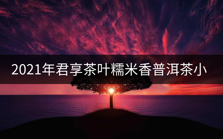 2021年君享茶葉糯米香普洱茶小沱茶餅口感好嗎？