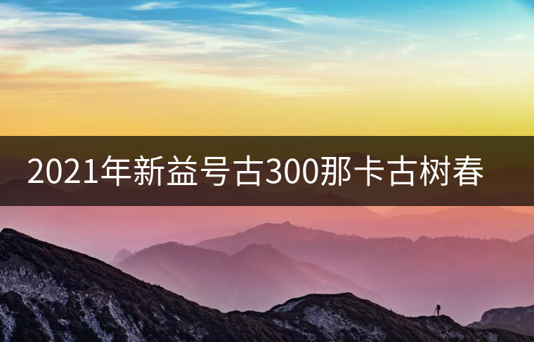 2021年新益號古300那卡古樹春茶口感怎么樣？