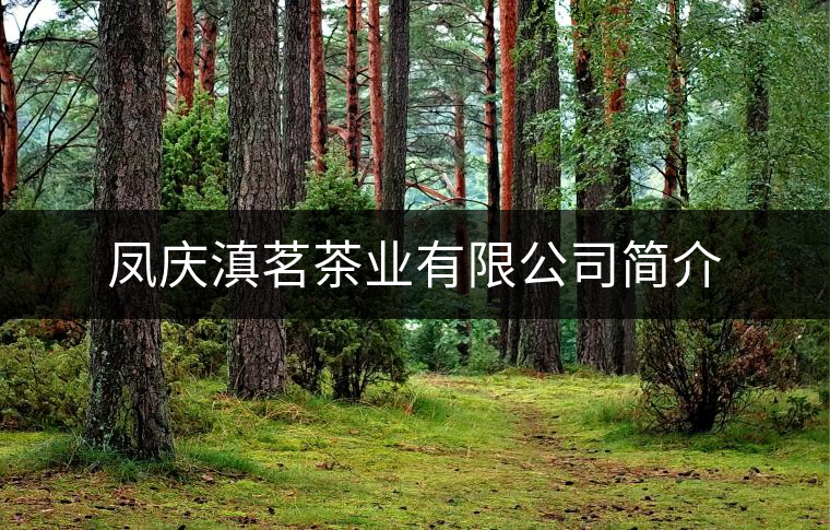 鳳慶滇茗茶業(yè)有限公司簡介 鳳慶滇茗茶業(yè)有限公司簡介