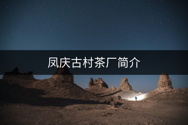鳳慶古村茶廠簡(jiǎn)介