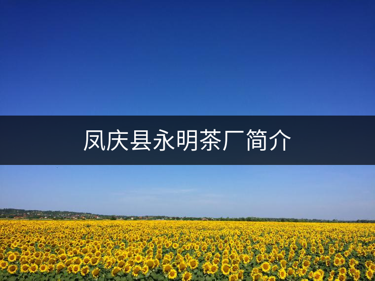 鳳慶縣永明茶廠簡(jiǎn)介 鳳慶縣永明茶廠簡(jiǎn)介
