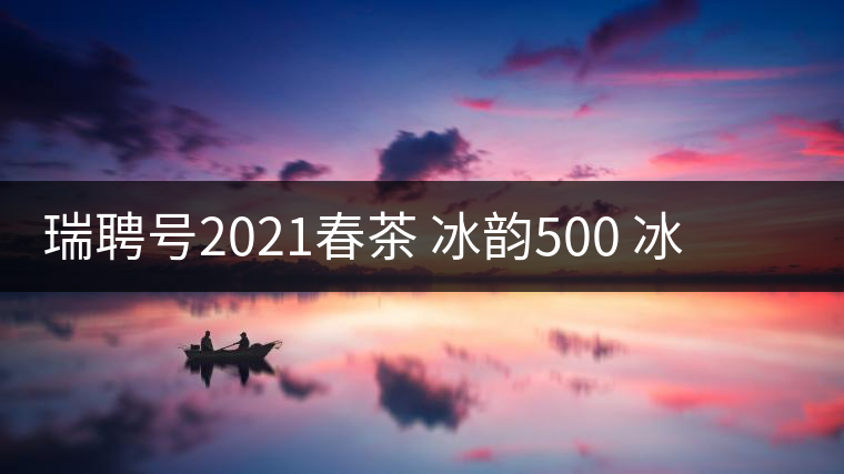 瑞聘號(hào)2021春茶 冰韻500 冰島頭春古樹(shù)茶口感好不好？