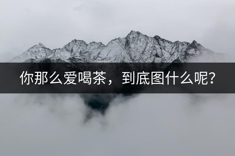 你那么愛喝茶，到底圖什么呢？