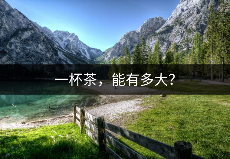 一杯茶，能有多大？