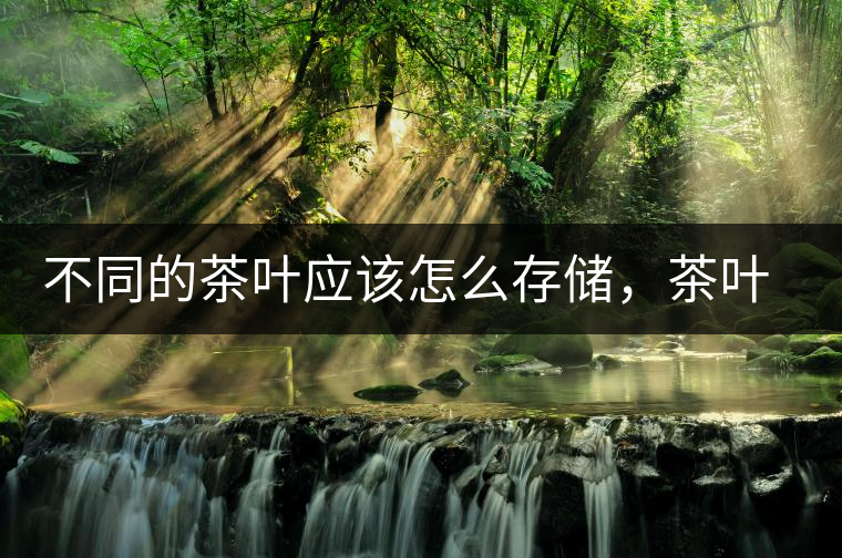 不同的茶葉應(yīng)該怎么存儲，茶葉罐又該如何選擇？