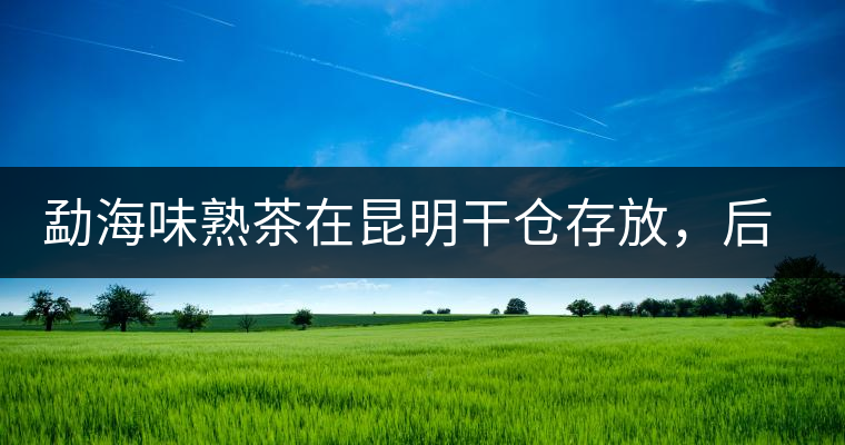 勐海味熟茶在昆明干倉存放，后期轉(zhuǎn)化如何呢？