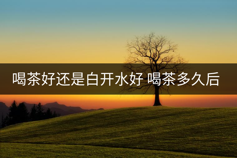 喝茶好還是白開水好 喝茶多久后可以吃中藥