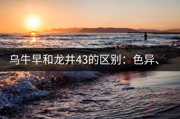 烏牛早和龍井43的區(qū)別：色異、香異、形異