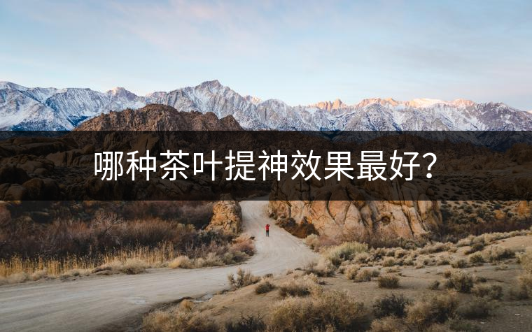 哪種茶葉提神效果最好？