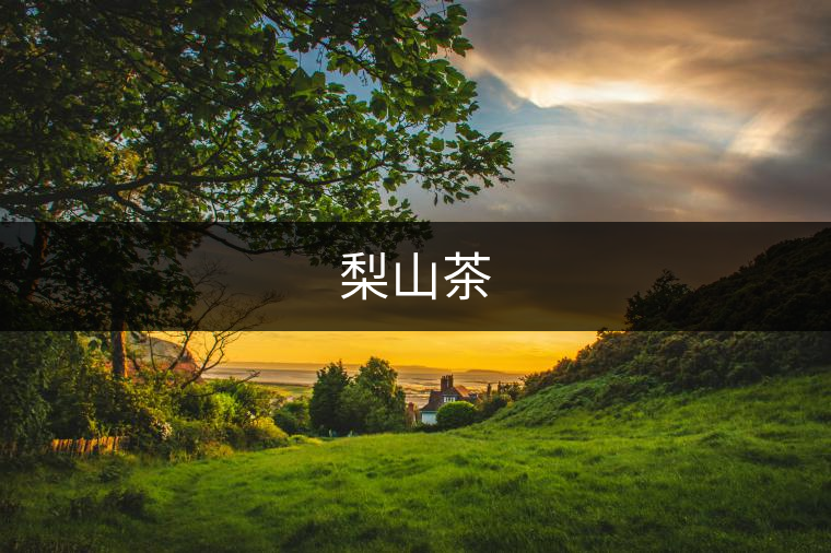 梨山茶 梨山茶