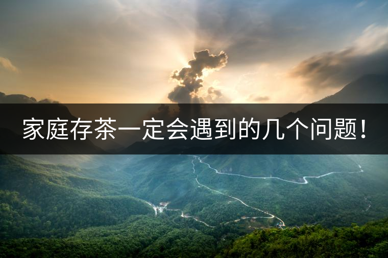 家庭存茶一定會遇到的幾個問題！