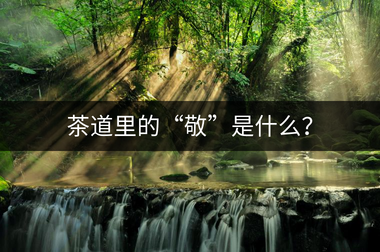 茶道里的“敬”是什么？