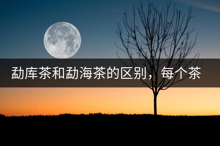 勐庫茶和勐海茶的區(qū)別，每個茶友都該了解的選茶常識！
