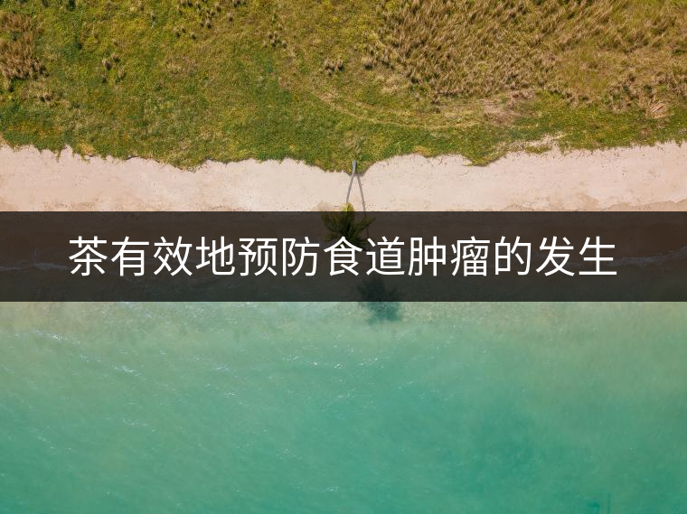 茶有效地預防食道腫瘤的發(fā)生