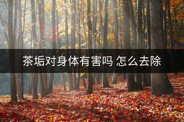 茶垢對身體有害嗎 怎么去除