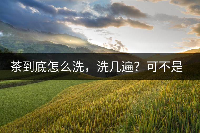 茶到底怎么洗，洗幾遍？可不是倒水進(jìn)去這么簡(jiǎn)單喲