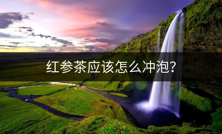 紅參茶應(yīng)該怎么沖泡？