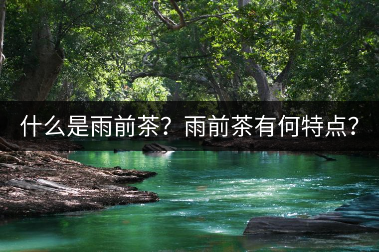 什么是雨前茶？雨前茶有何特點(diǎn)？