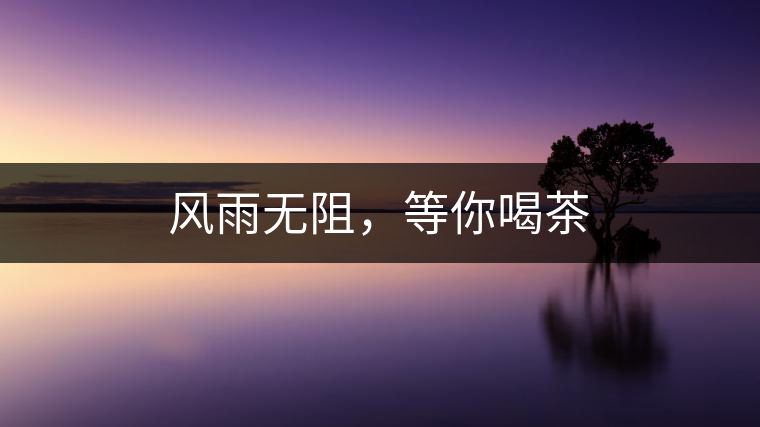 風(fēng)雨無阻，等你喝茶