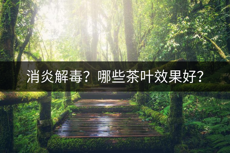 消炎解毒？哪些茶葉效果好？