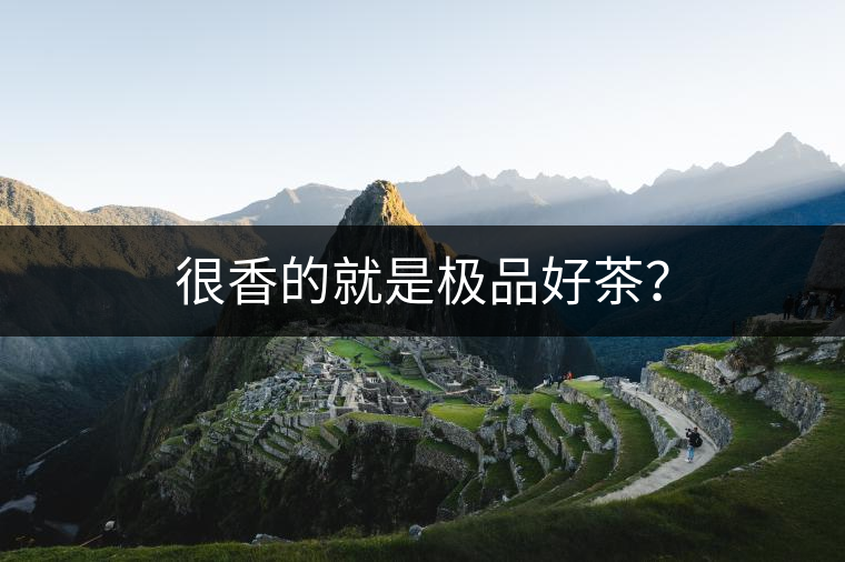 很香的就是極品好茶？