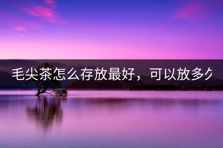 毛尖茶怎么存放最好，可以放多久？
