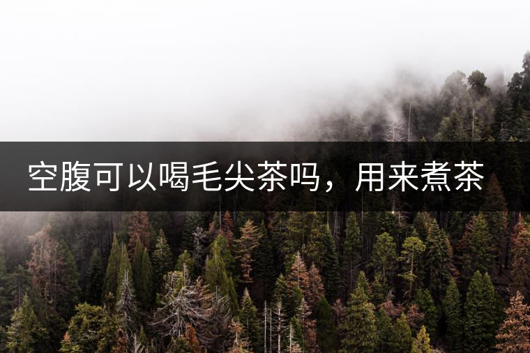 空腹可以喝毛尖茶嗎，用來煮茶葉蛋怎么樣？