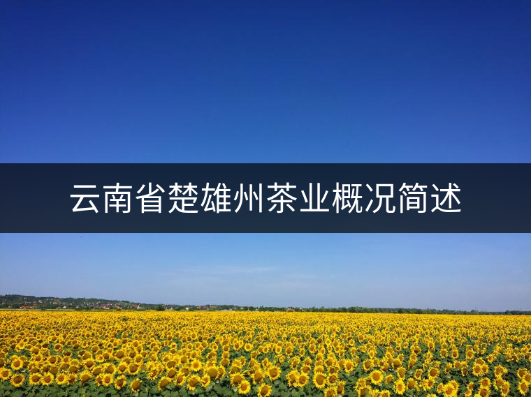 云南省楚雄州茶業(yè)概況簡述 云南省楚雄州茶業(yè)概況簡述