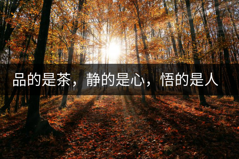 品的是茶，靜的是心，悟的是人生，滌的是靈魂