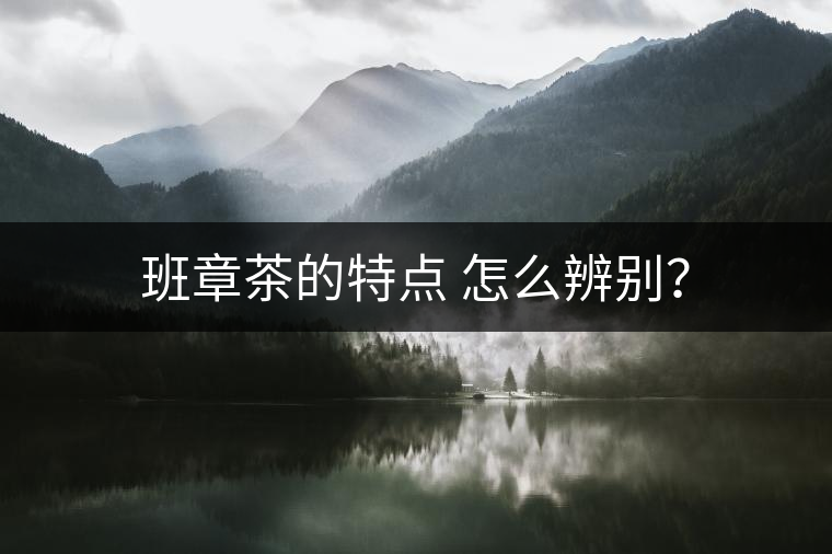 班章茶的特點 怎么辨別？