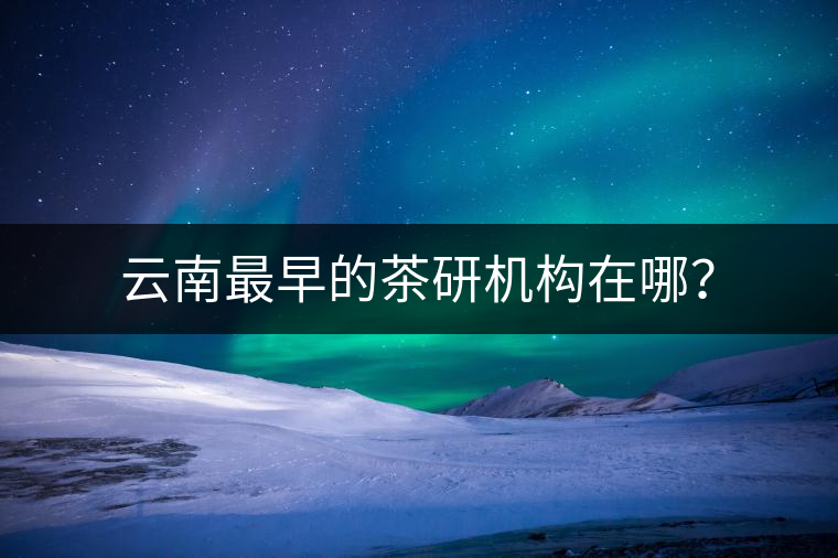 云南最早的茶研機(jī)構(gòu)在哪？