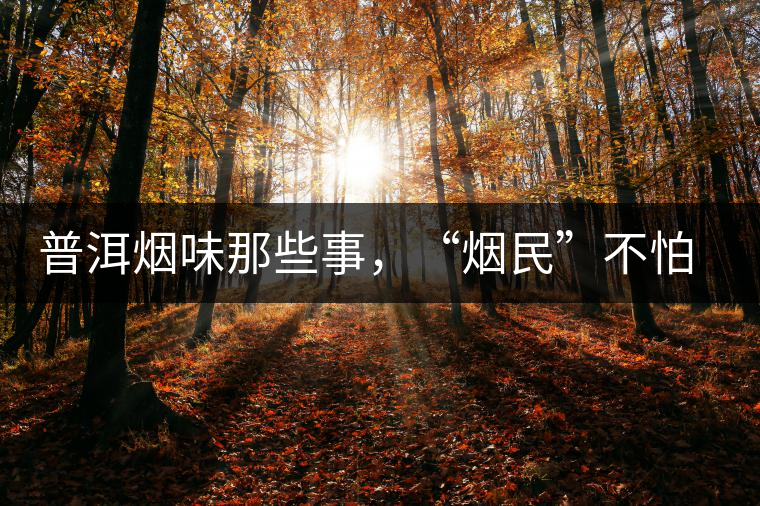 普洱煙味那些事，“煙民”不怕當(dāng)