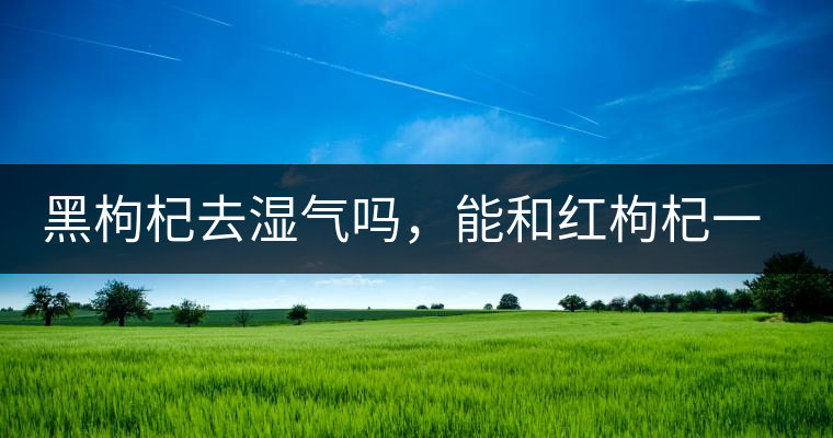 黑枸杞去濕氣嗎，能和紅枸杞一起泡嗎？