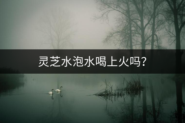 靈芝水泡水喝上火嗎？