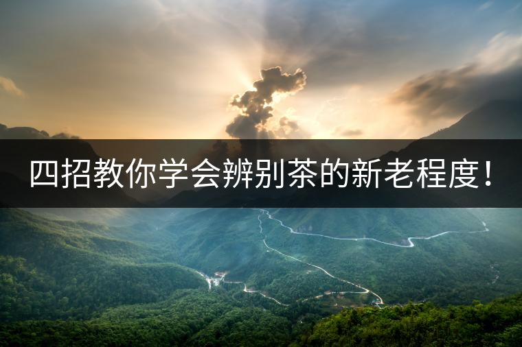 四招教你學(xué)會(huì)辨別茶的新老程度！