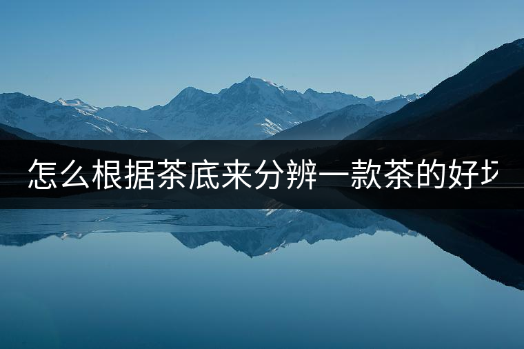 怎么根據(jù)茶底來分辨一款茶的好壞！