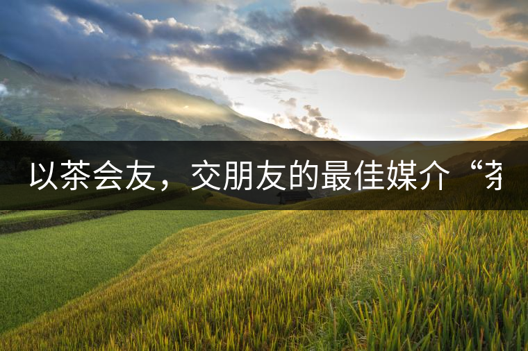以茶會友，交朋友的最佳媒介“茶”！
