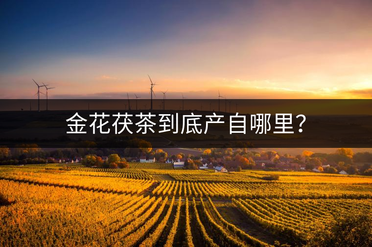 金花茯茶到底產(chǎn)自哪里？