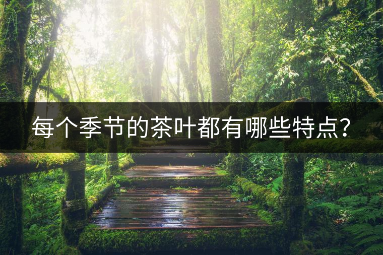 每個(gè)季節(jié)的茶葉都有哪些特點(diǎn)？