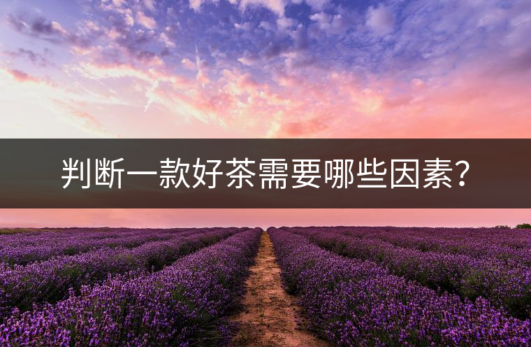判斷一款好茶需要哪些因素？