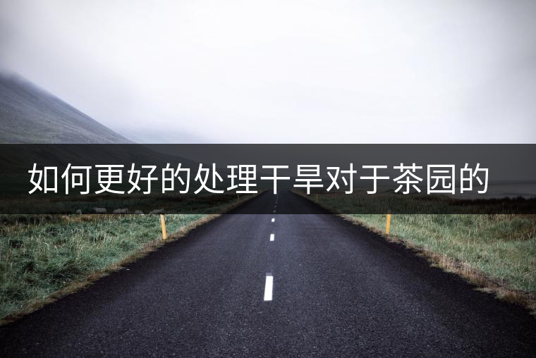 如何更好的處理干旱對(duì)于茶園的影響？