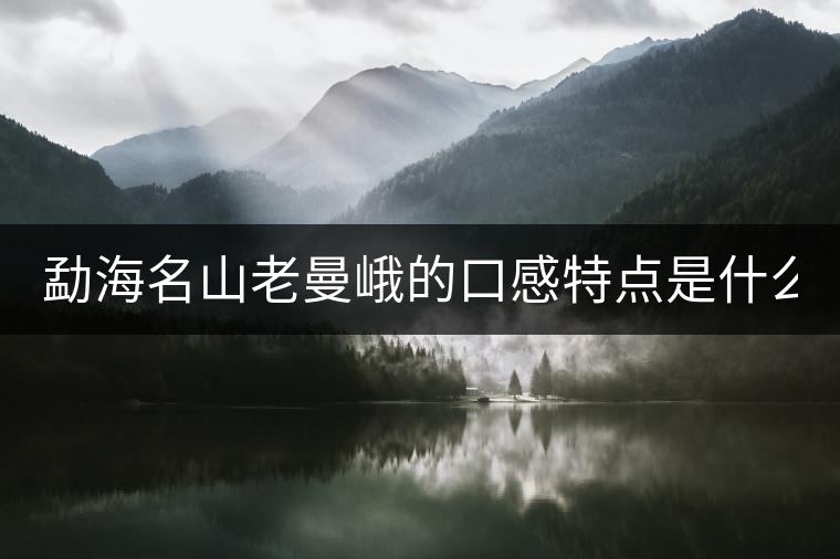 勐海名山老曼峨的口感特點(diǎn)是什么？