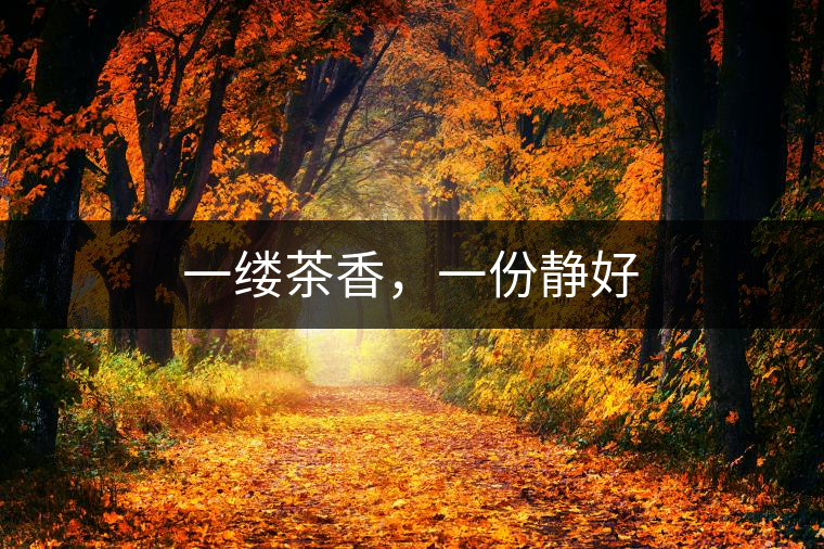 一縷茶香，一份靜好